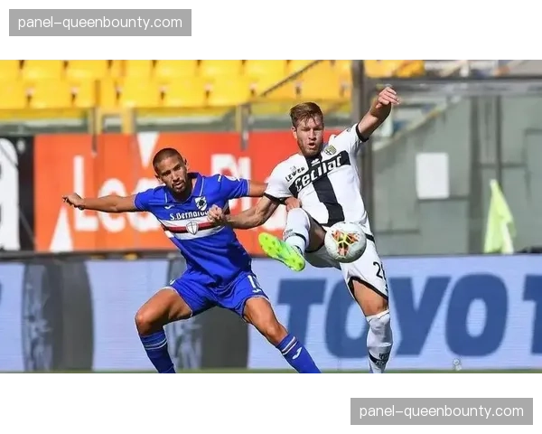 弗赖堡1-1战平霍芬海姆，两队各取一分